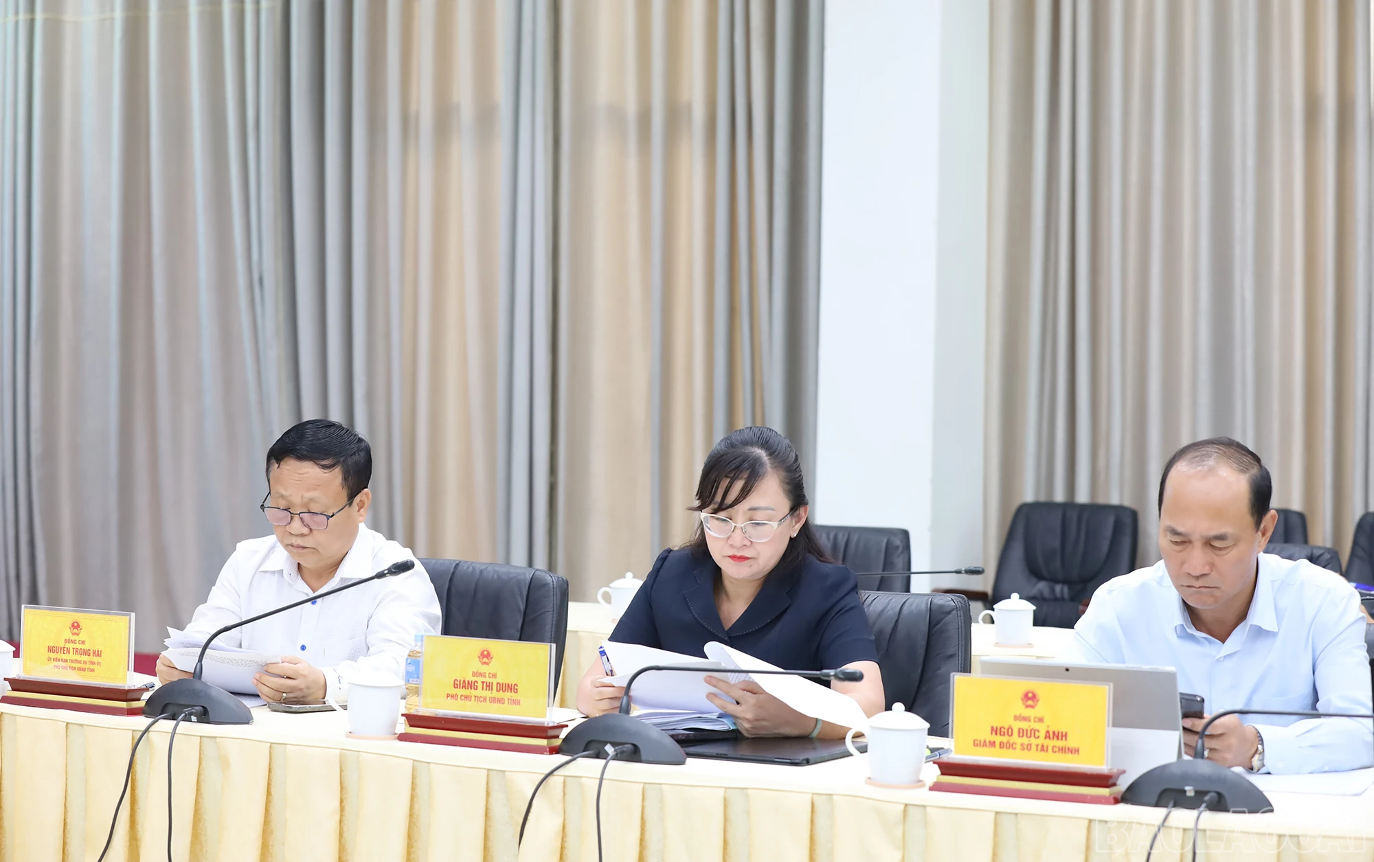 baolaocai_tk (4).JPG