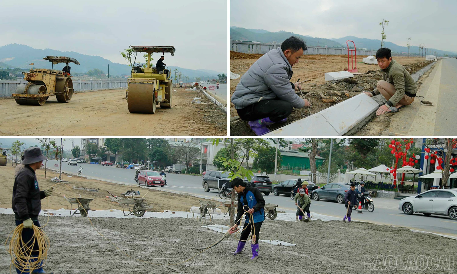 baolaocai_ccdt (1).jpg