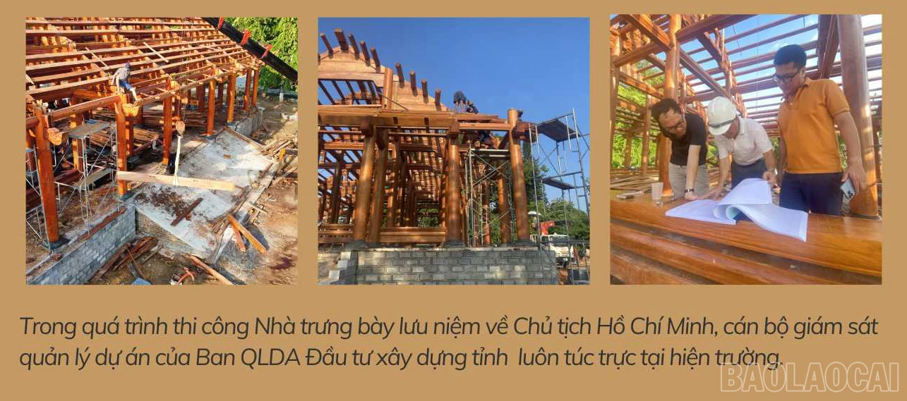 baolaocai_ba (2).jpg