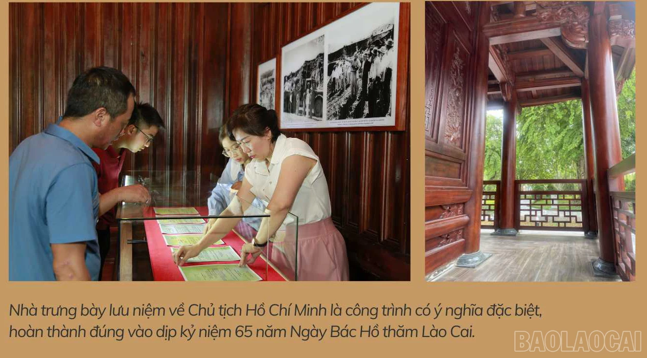 baolaocai_ba (3).jpg