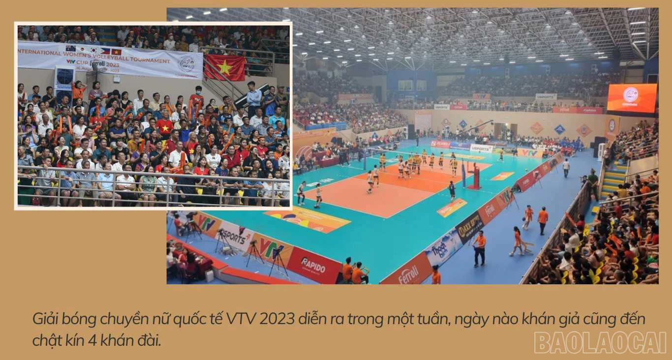 baolaocai_ba (4).jpg