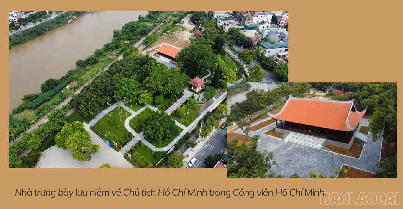 baolaocai_ba (5).jpg