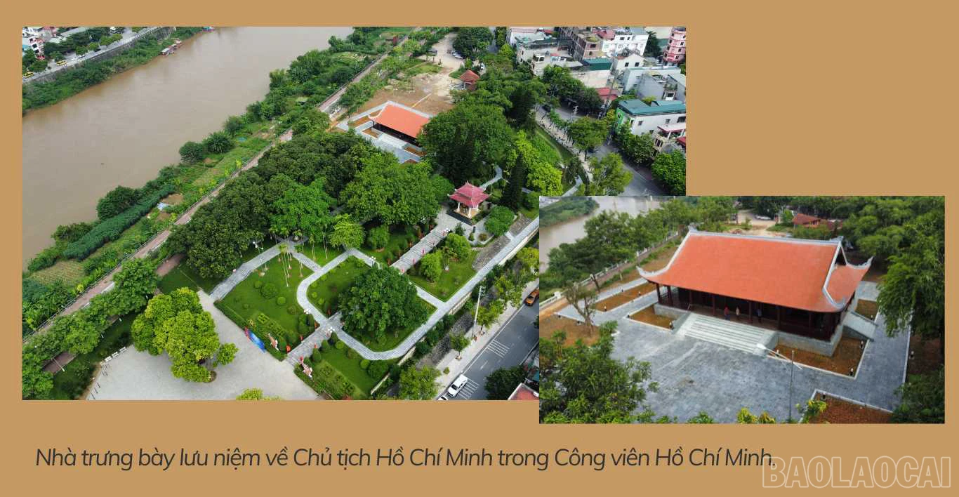 baolaocai_ba (5).jpg