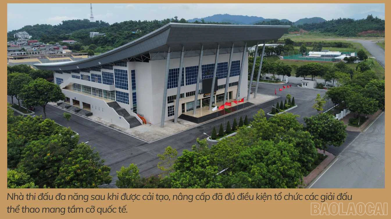 baolaocai_ba (1).jpg