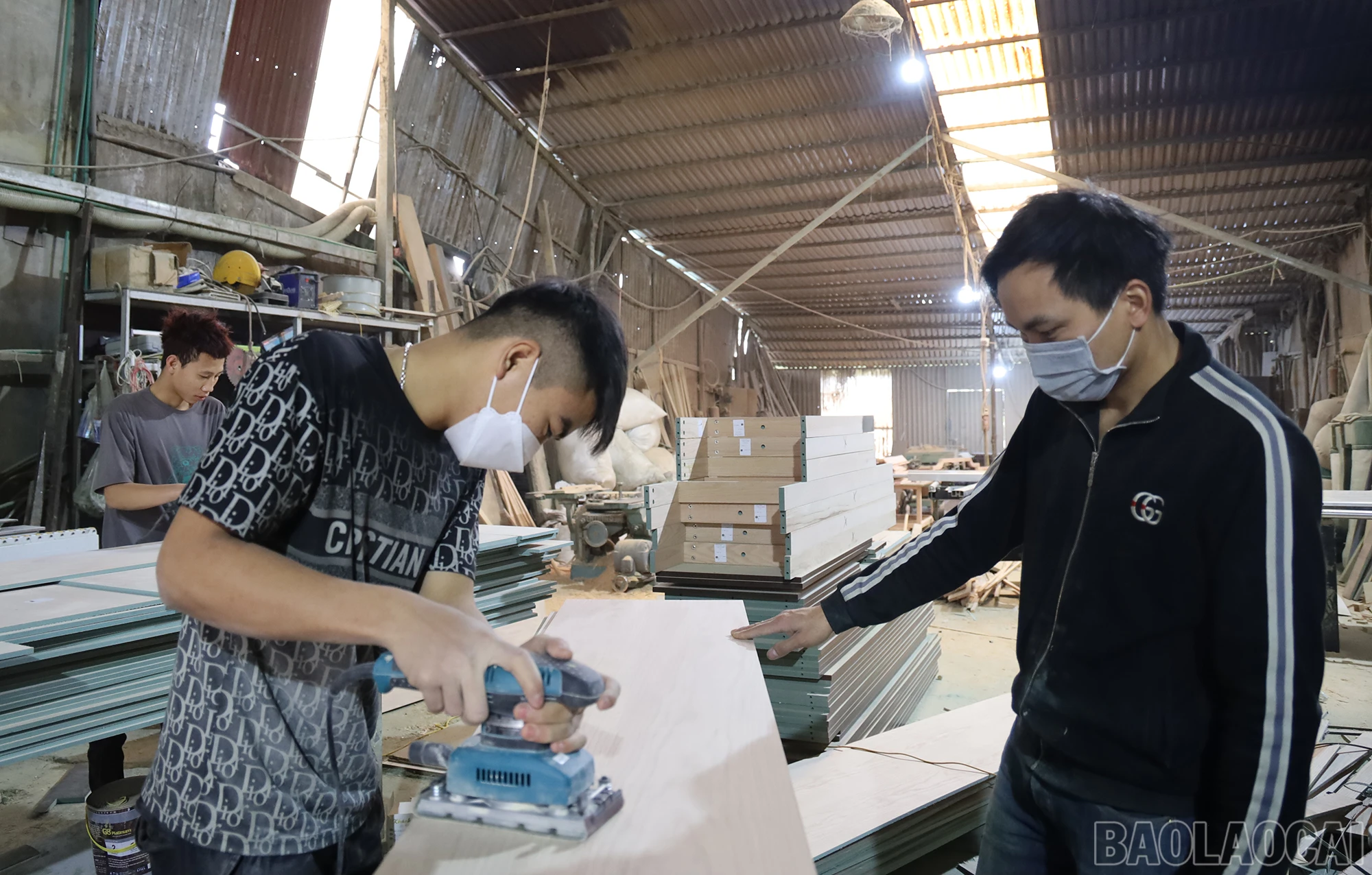 baolaocai_hh (2).JPG