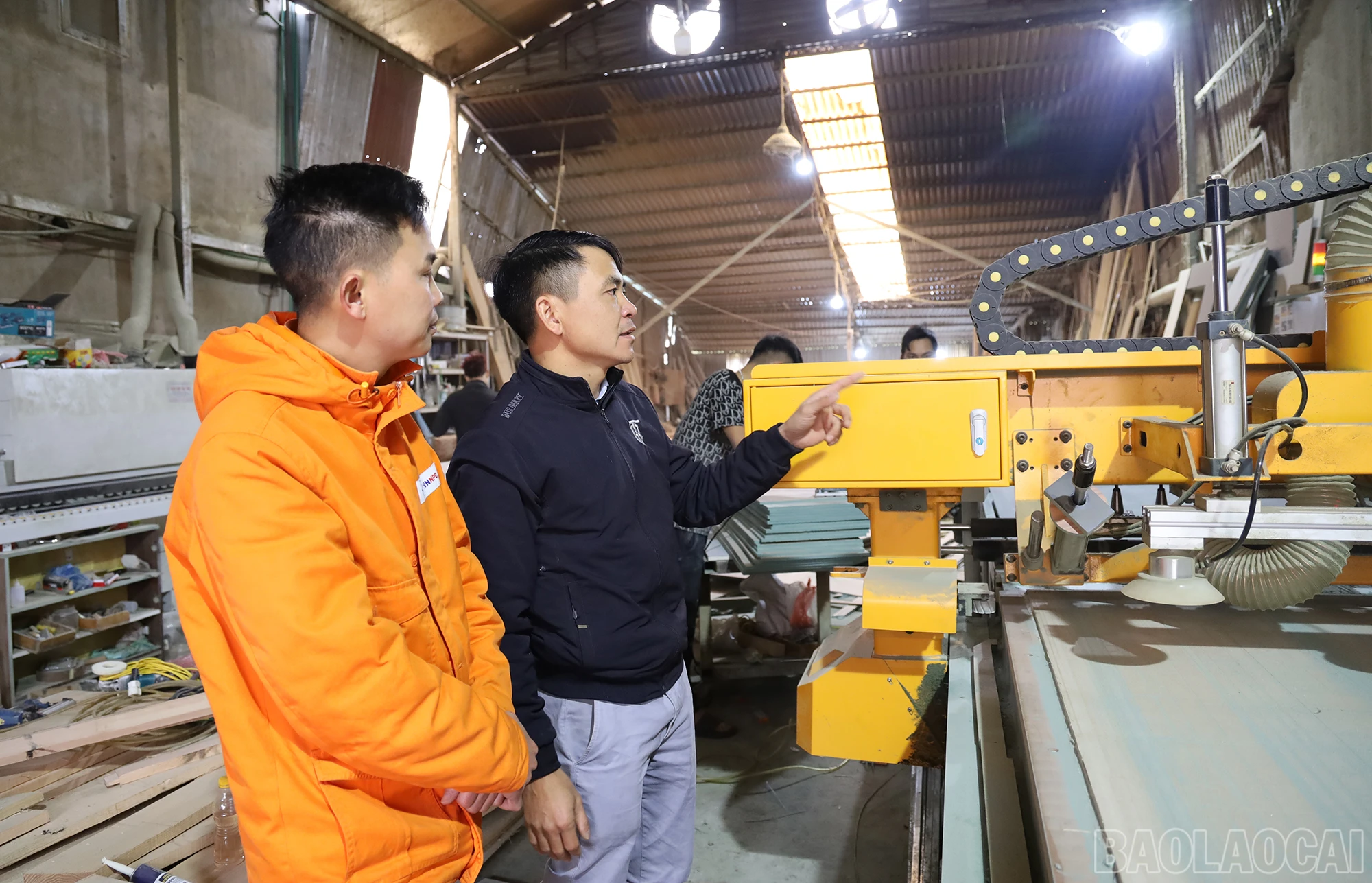 baolaocai_hh (1).JPG