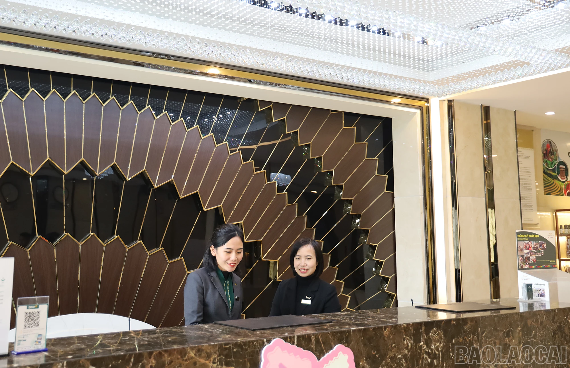 baolaocai_hh (3).JPG