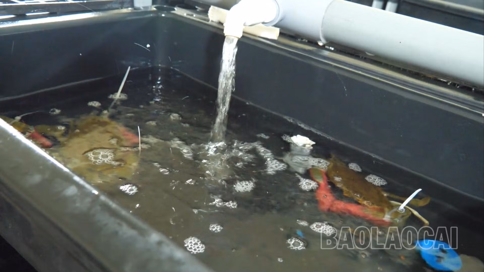 Sequence 01.Still003.jpg