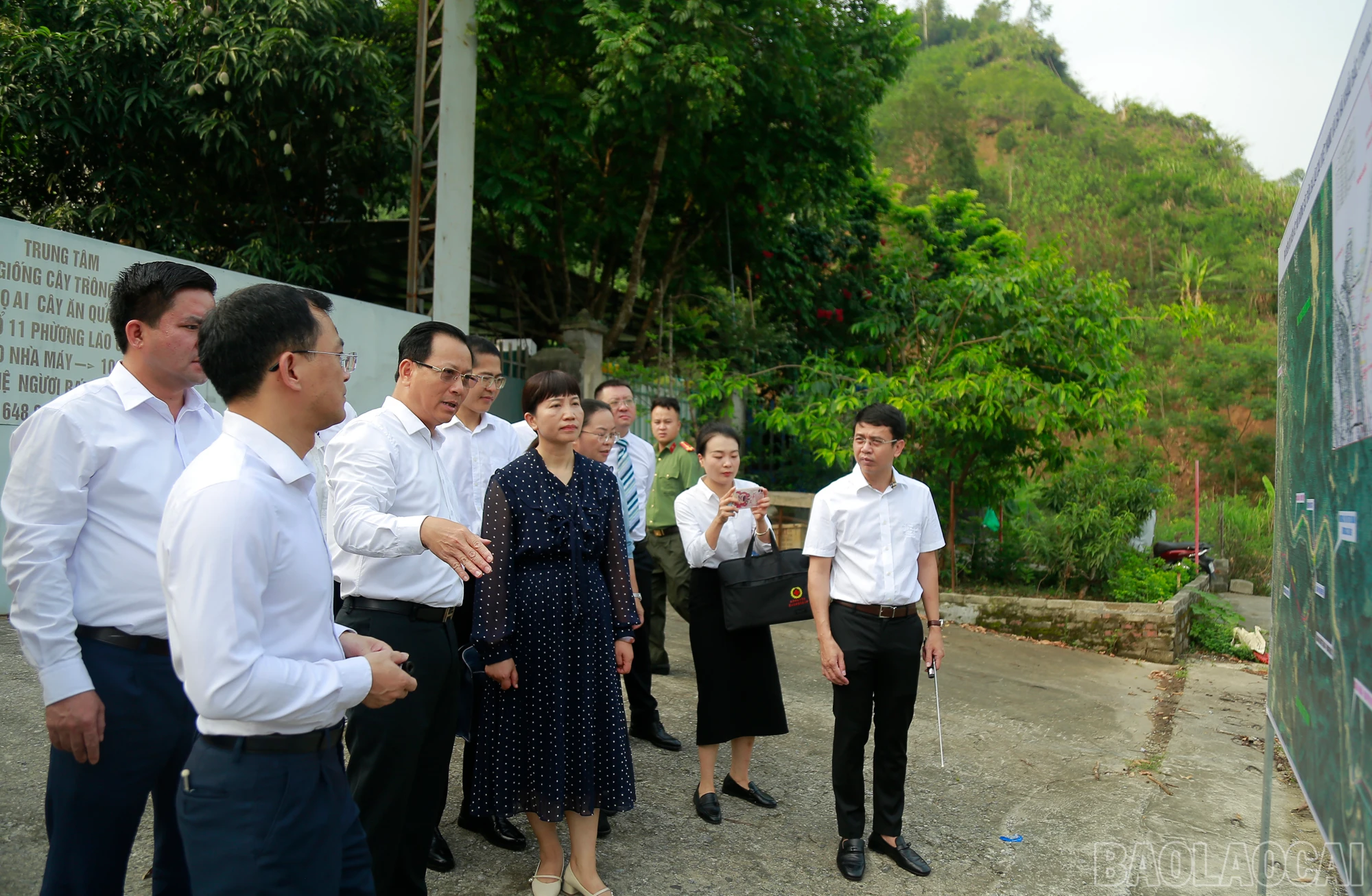 baolaocai_hoidam (7).JPG