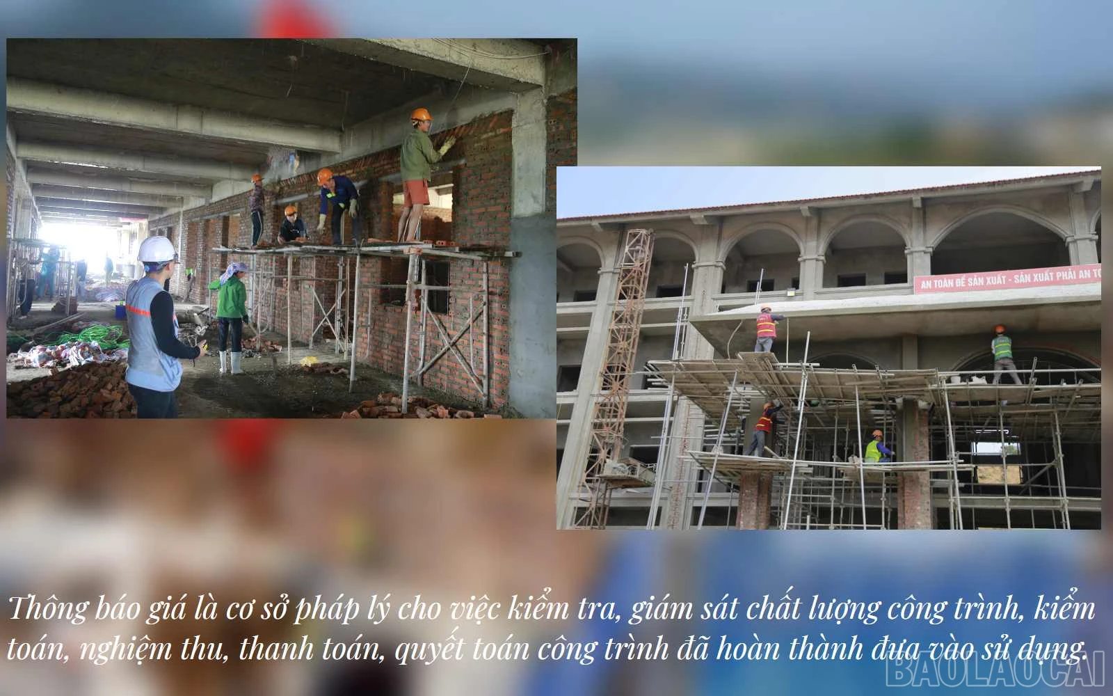 baolaocai_qlgia (2).jpg