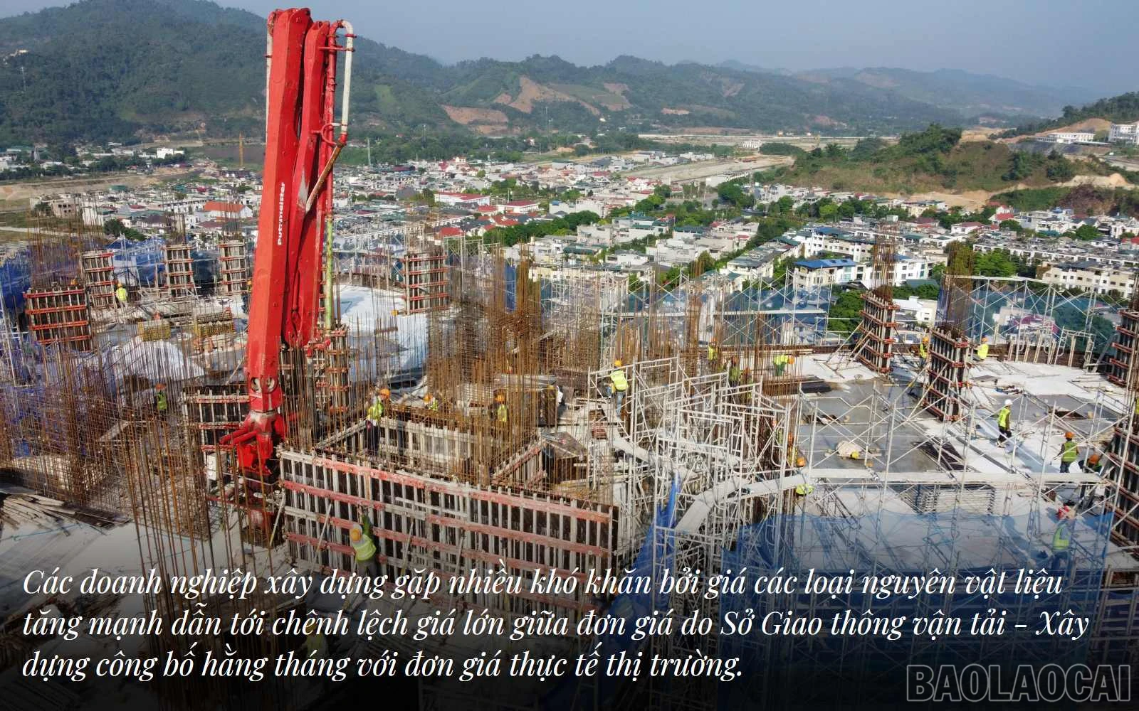 baolaocai_qlgia (3).jpg