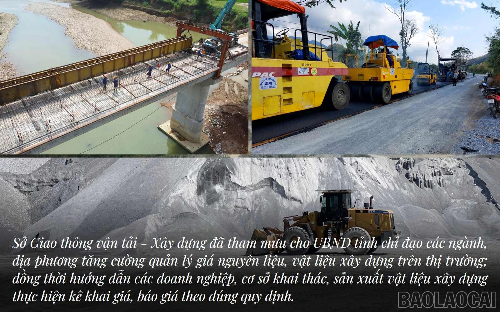 baolaocai_qlgia (5).jpg