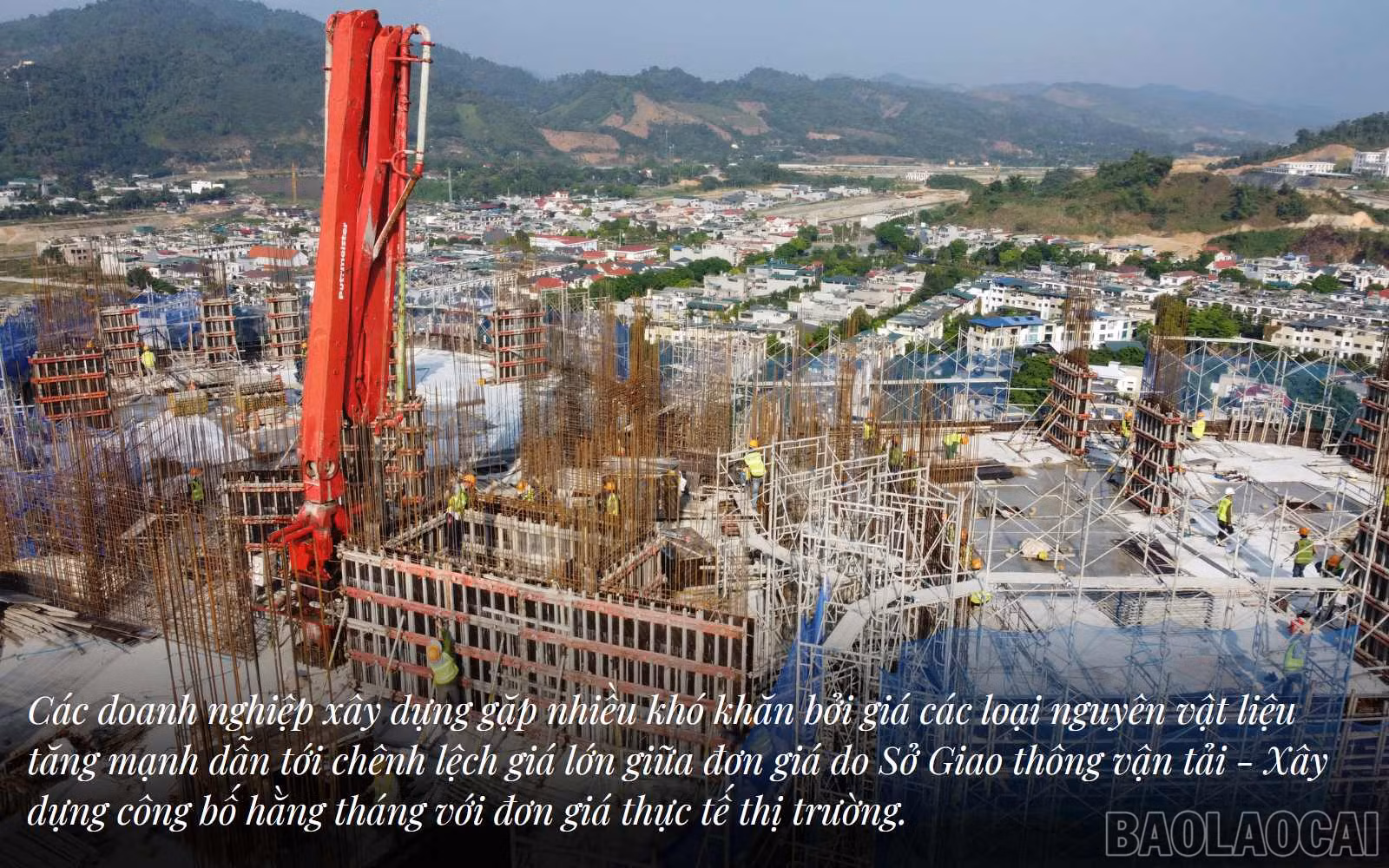 baolaocai_qlgia (3).jpg