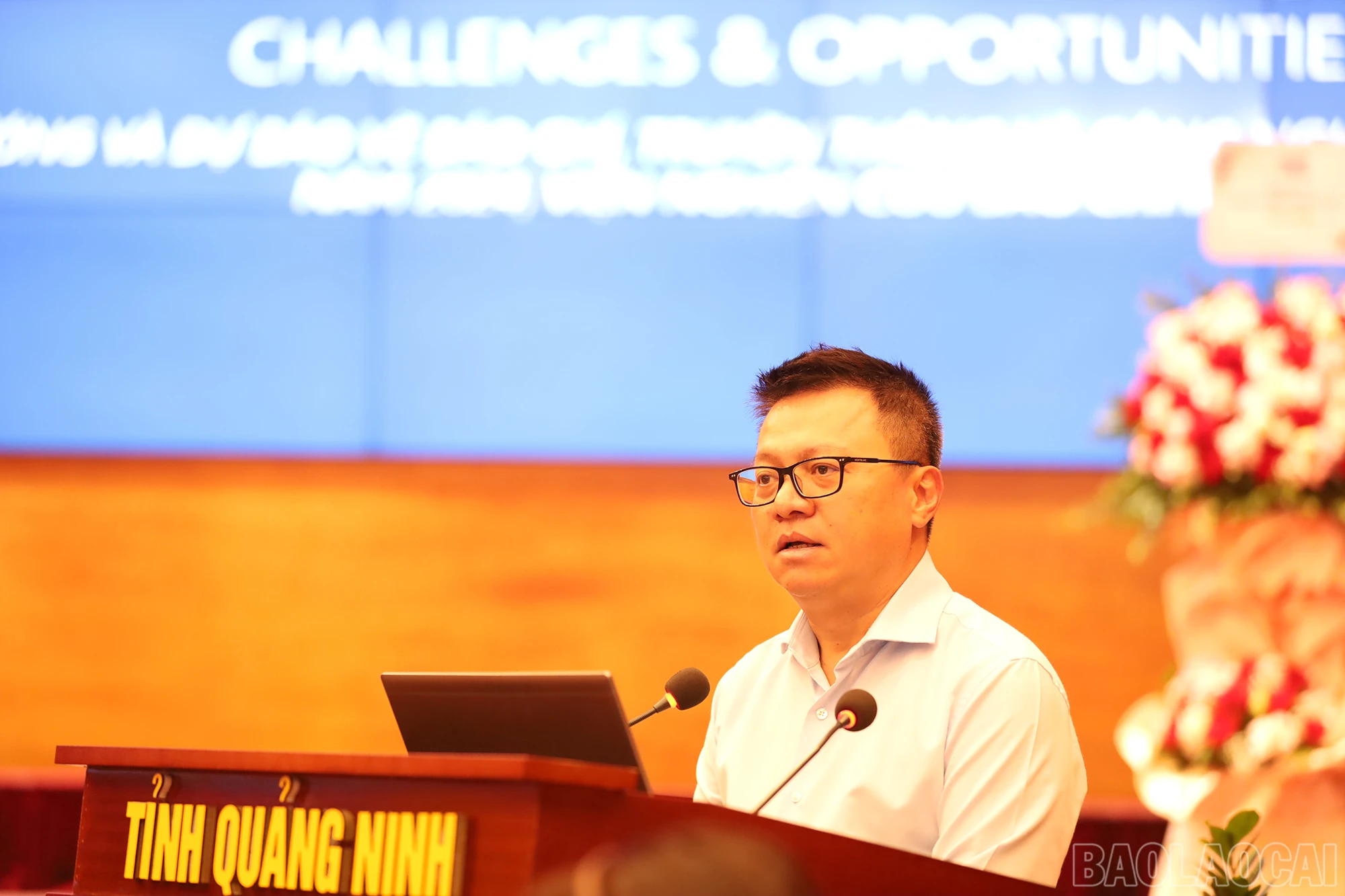 baolaocai_cds (4).JPG