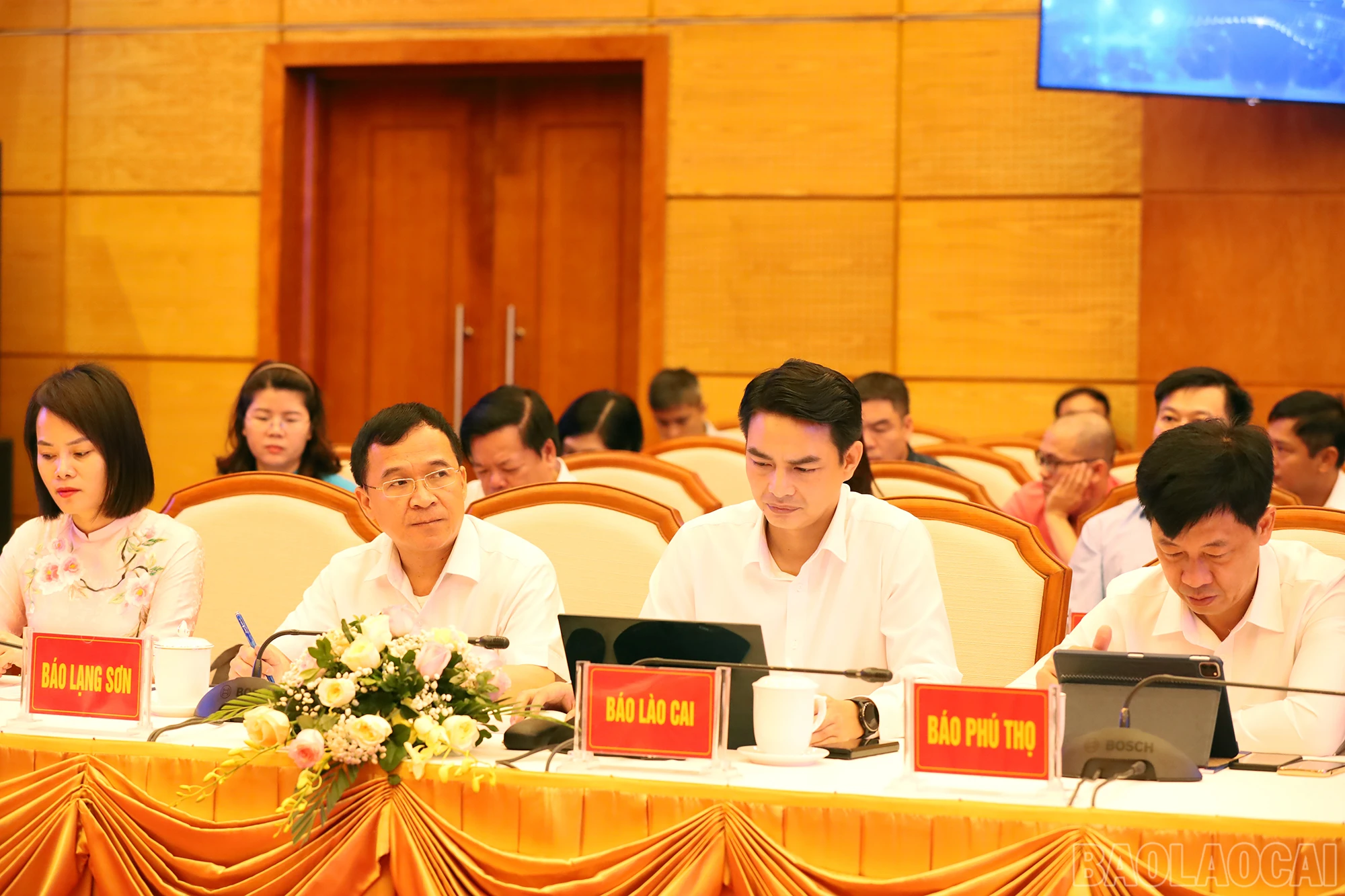 baolaocai_cds (2).JPG