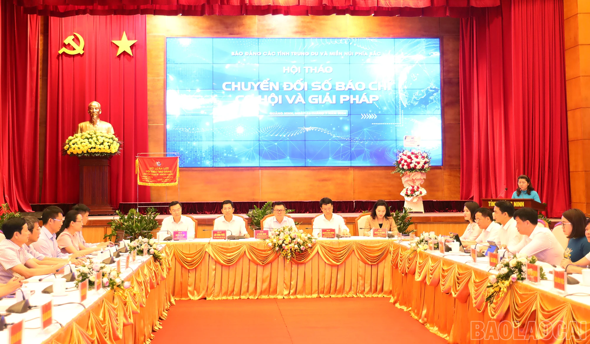 baolaocai_cds (1).JPG