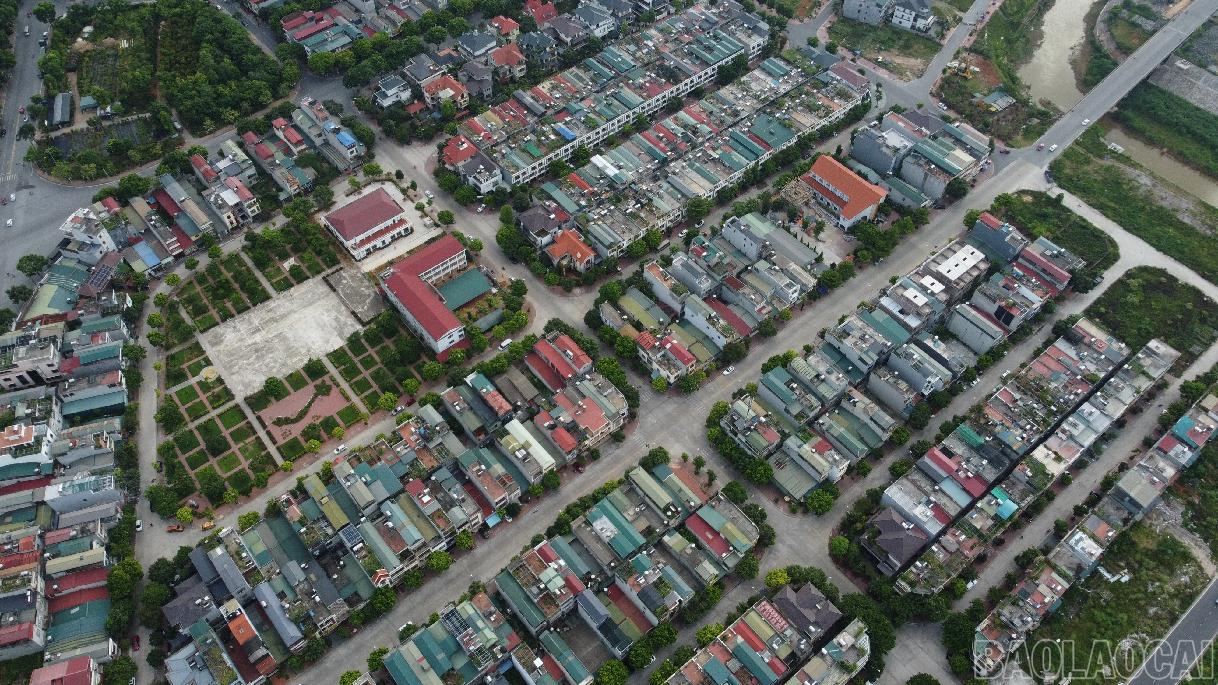 baolaocai_b33 (5).JPG