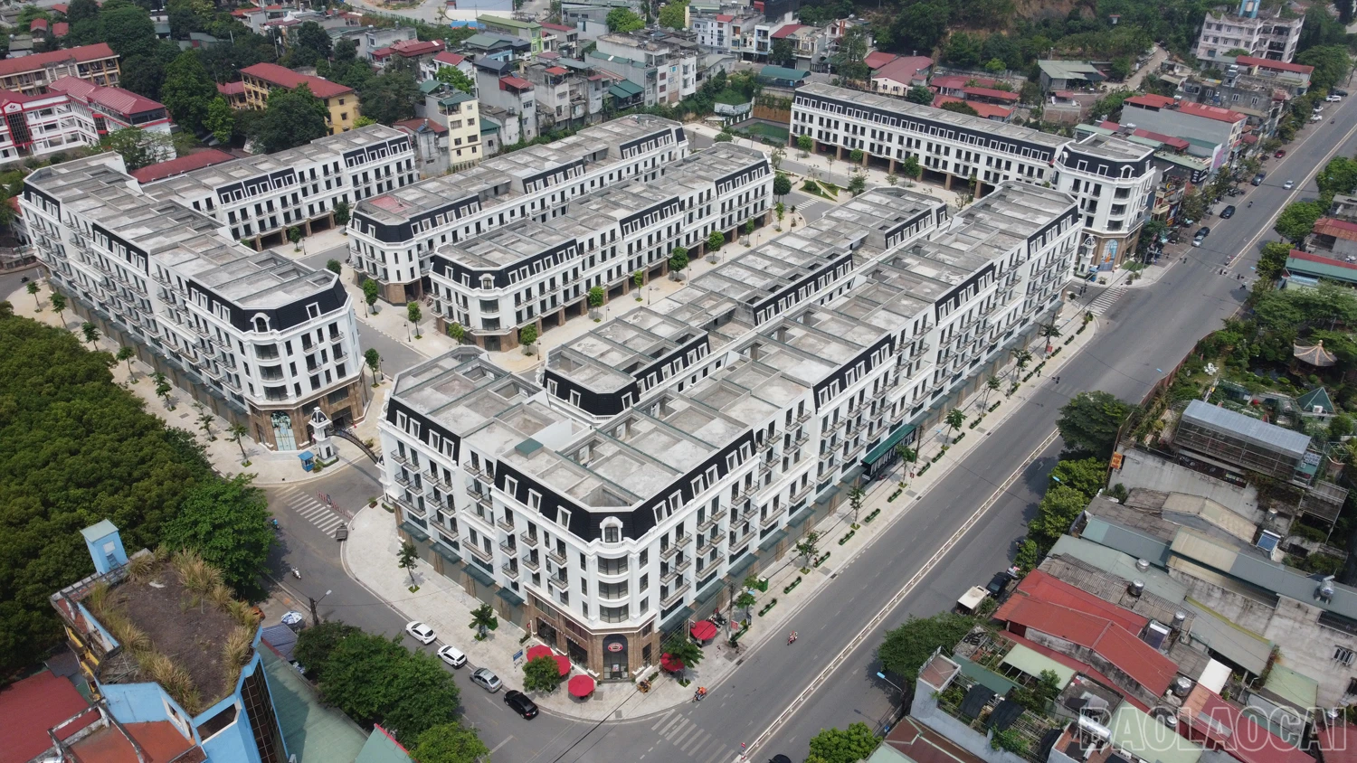 baolaocai_b33 (3).JPG