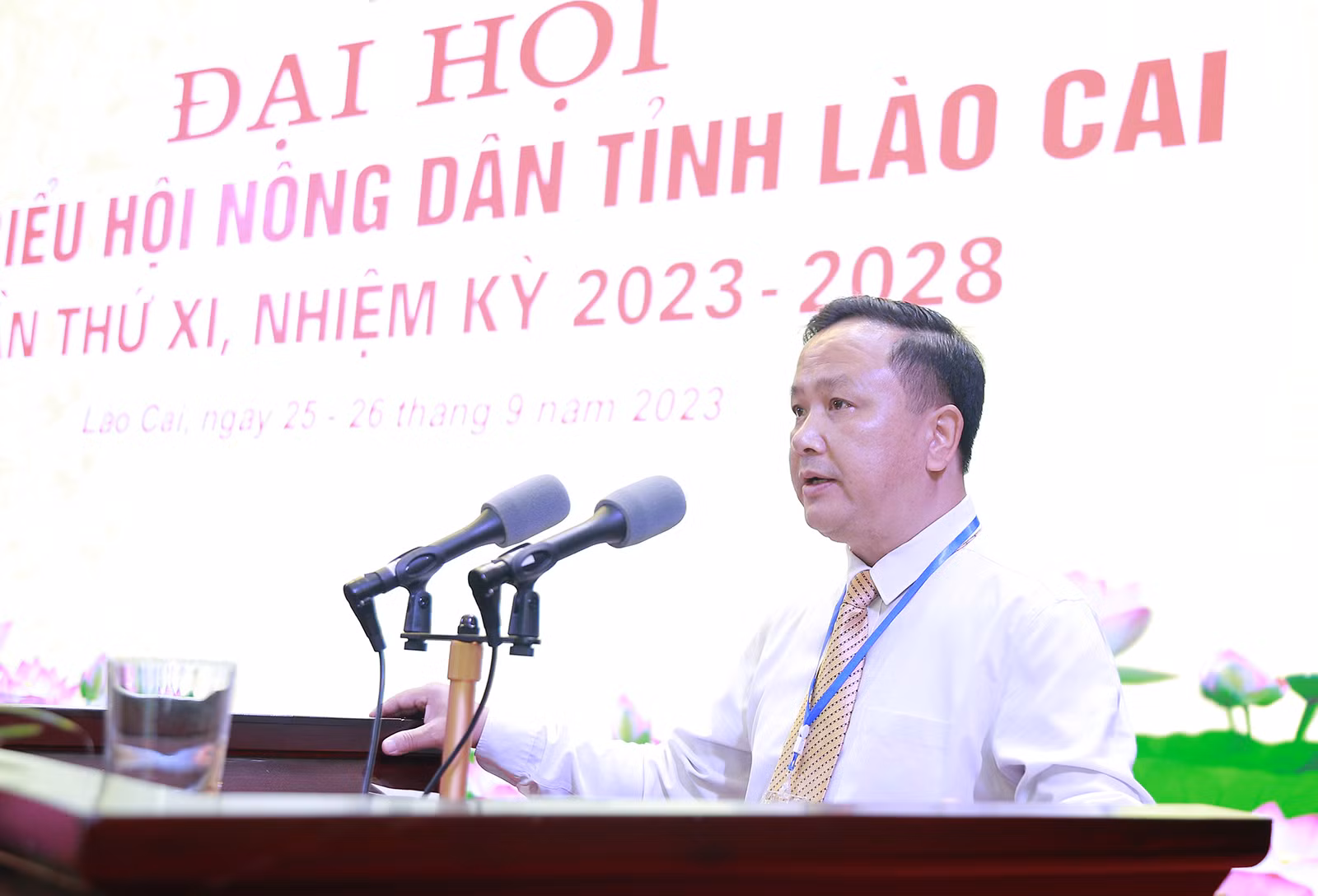 baolaocaithamluan (4).JPG