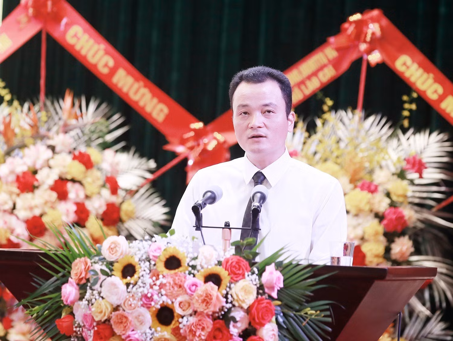 baolaocaithamluan (2).jpg