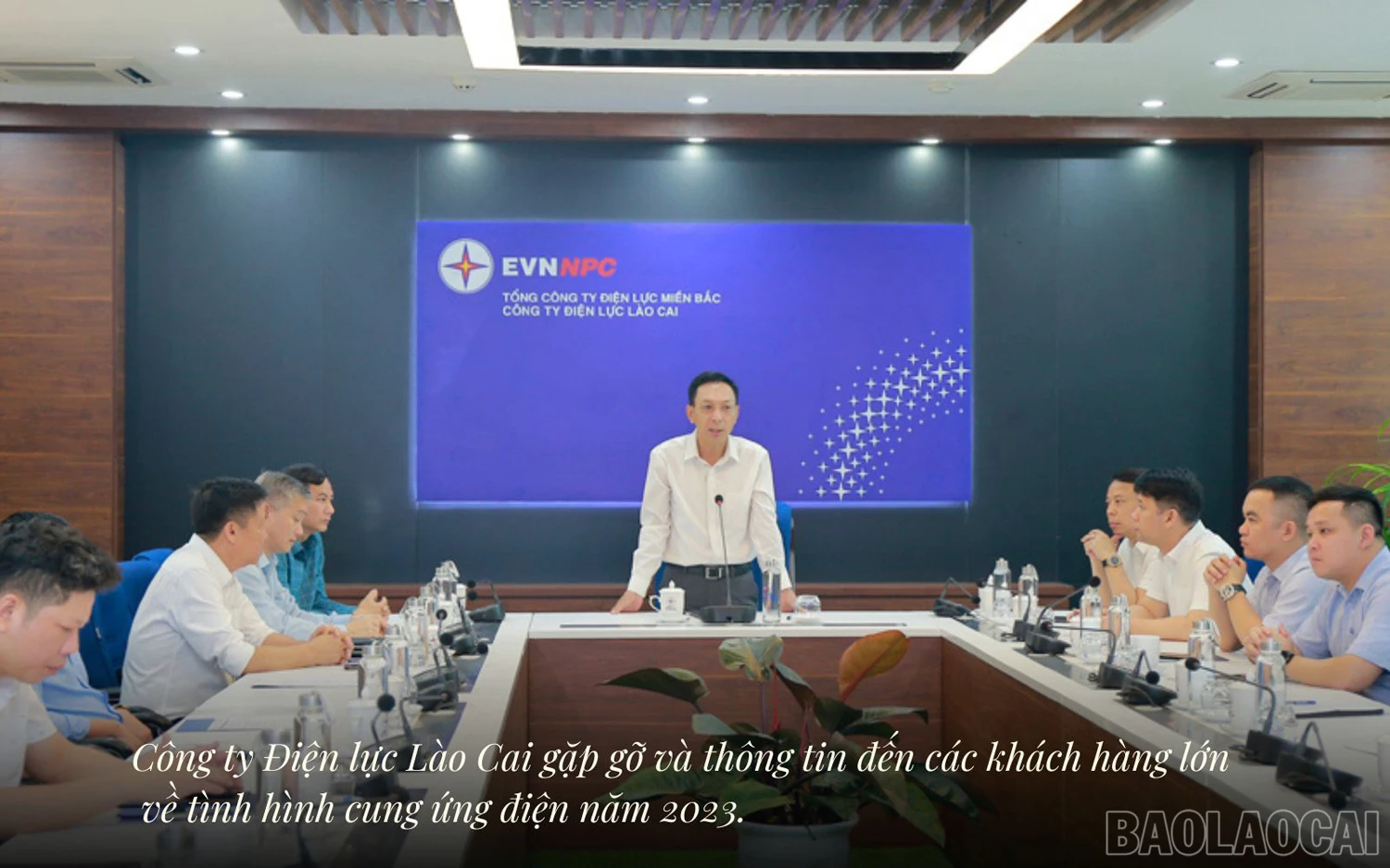 baolaocai_dl (2).jpg