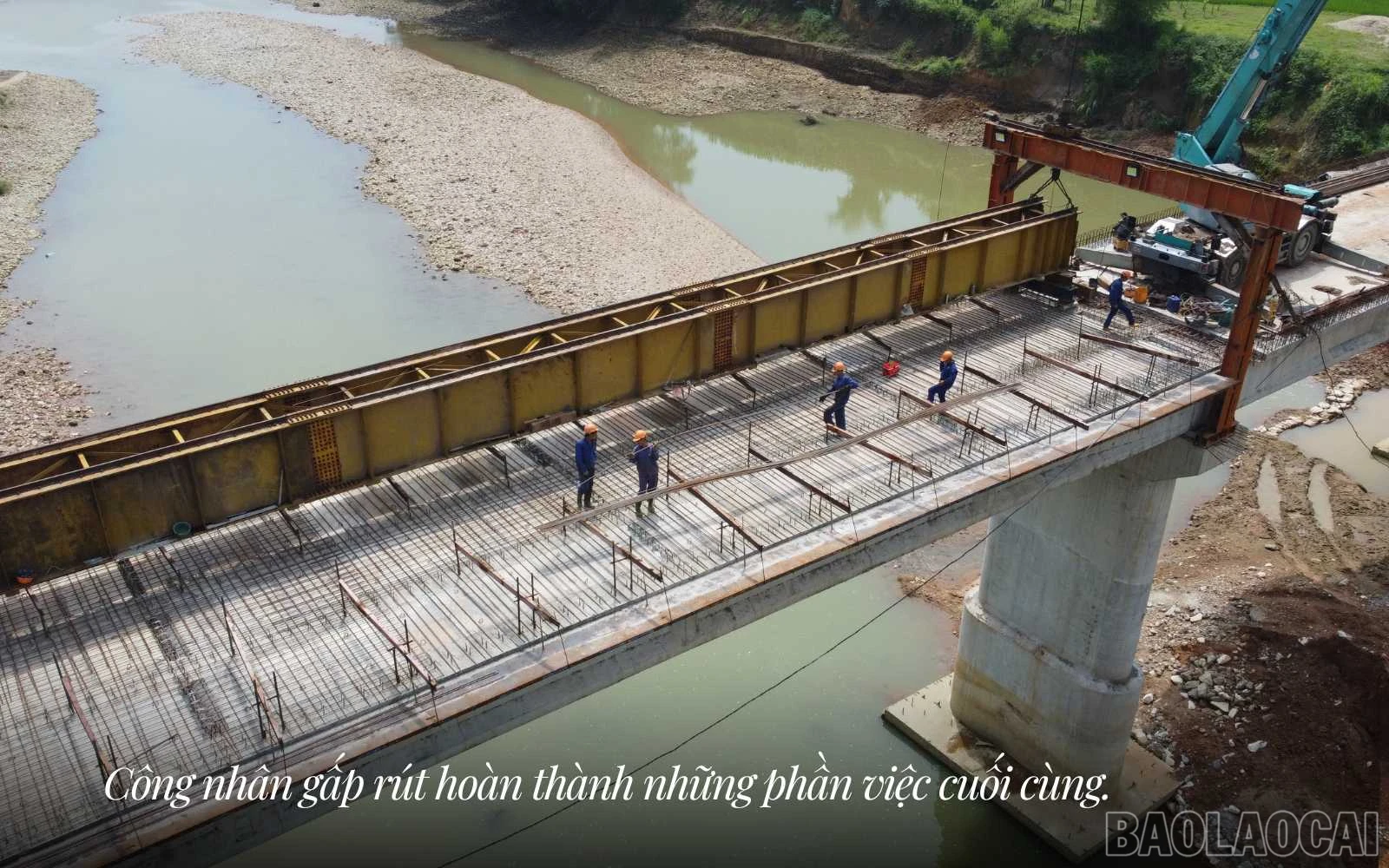 baolaocai_cauvt (7).jpg