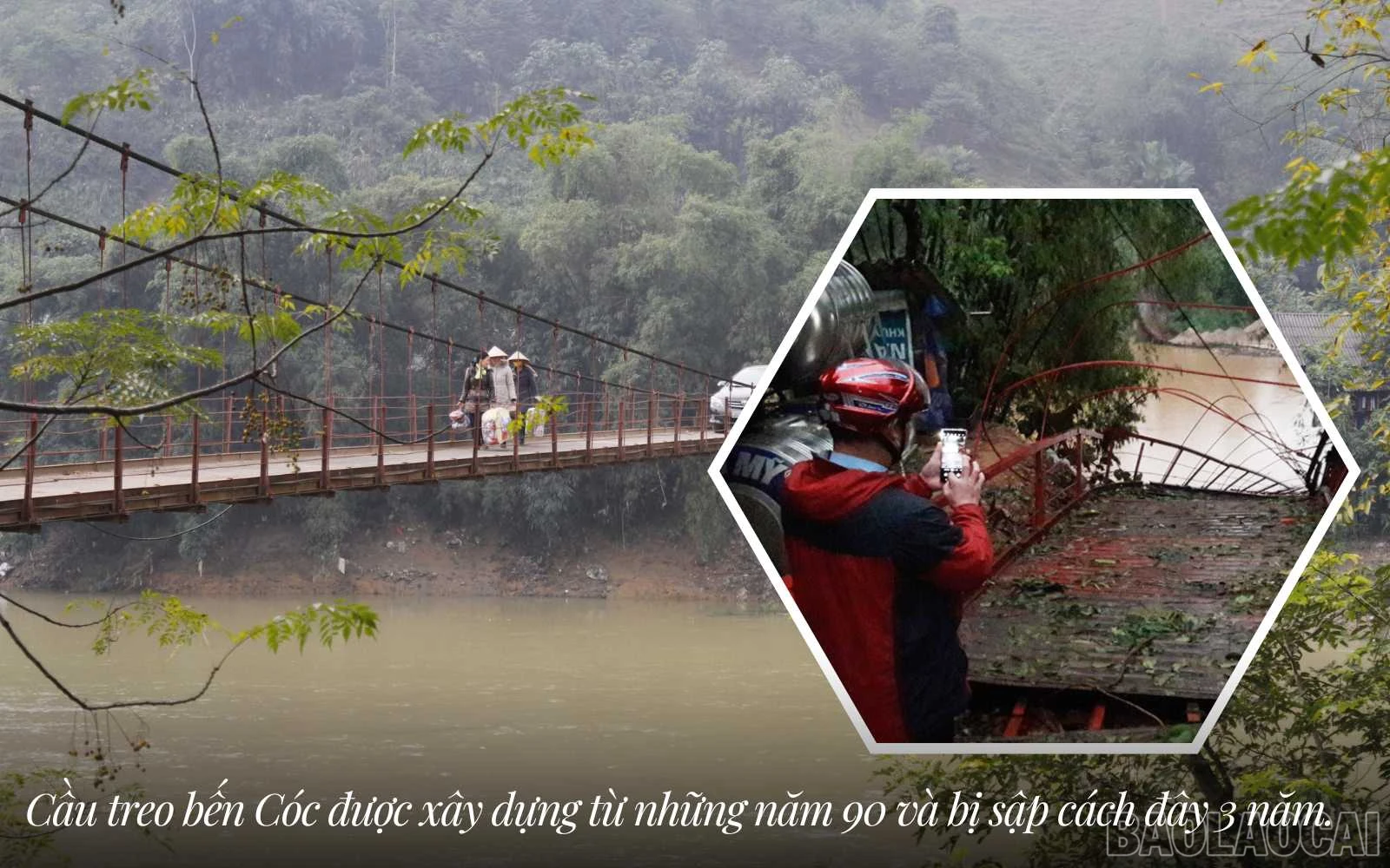 baolaocai_cauvt (2).jpg