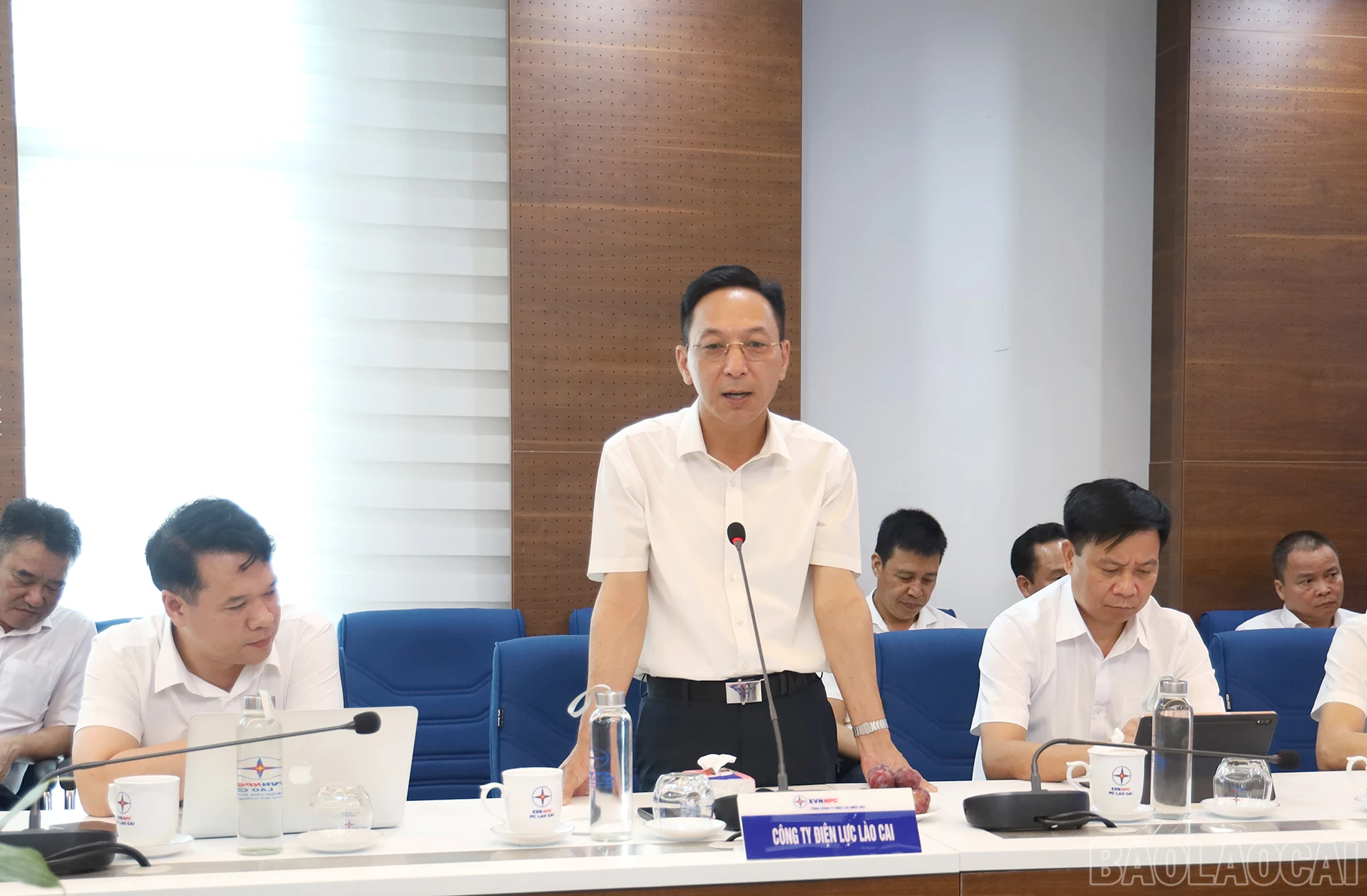 baolaocai_gm (3).JPG