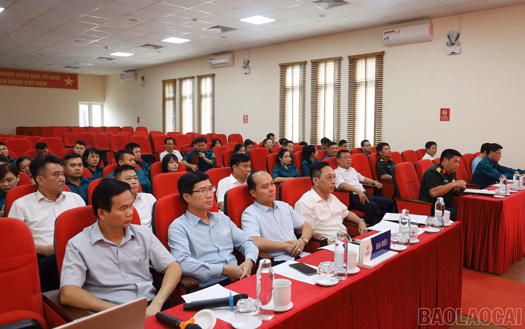 baolaocai_hl (2).JPG