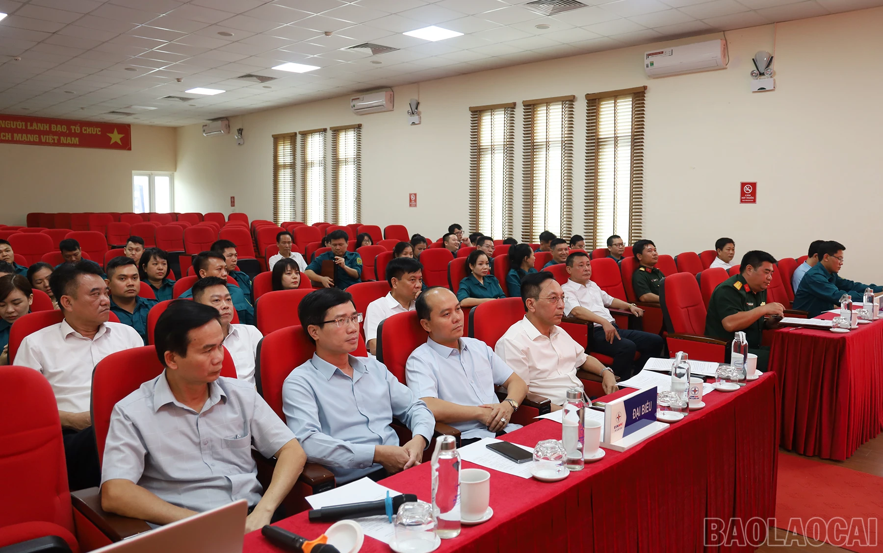 baolaocai_hl (2).JPG