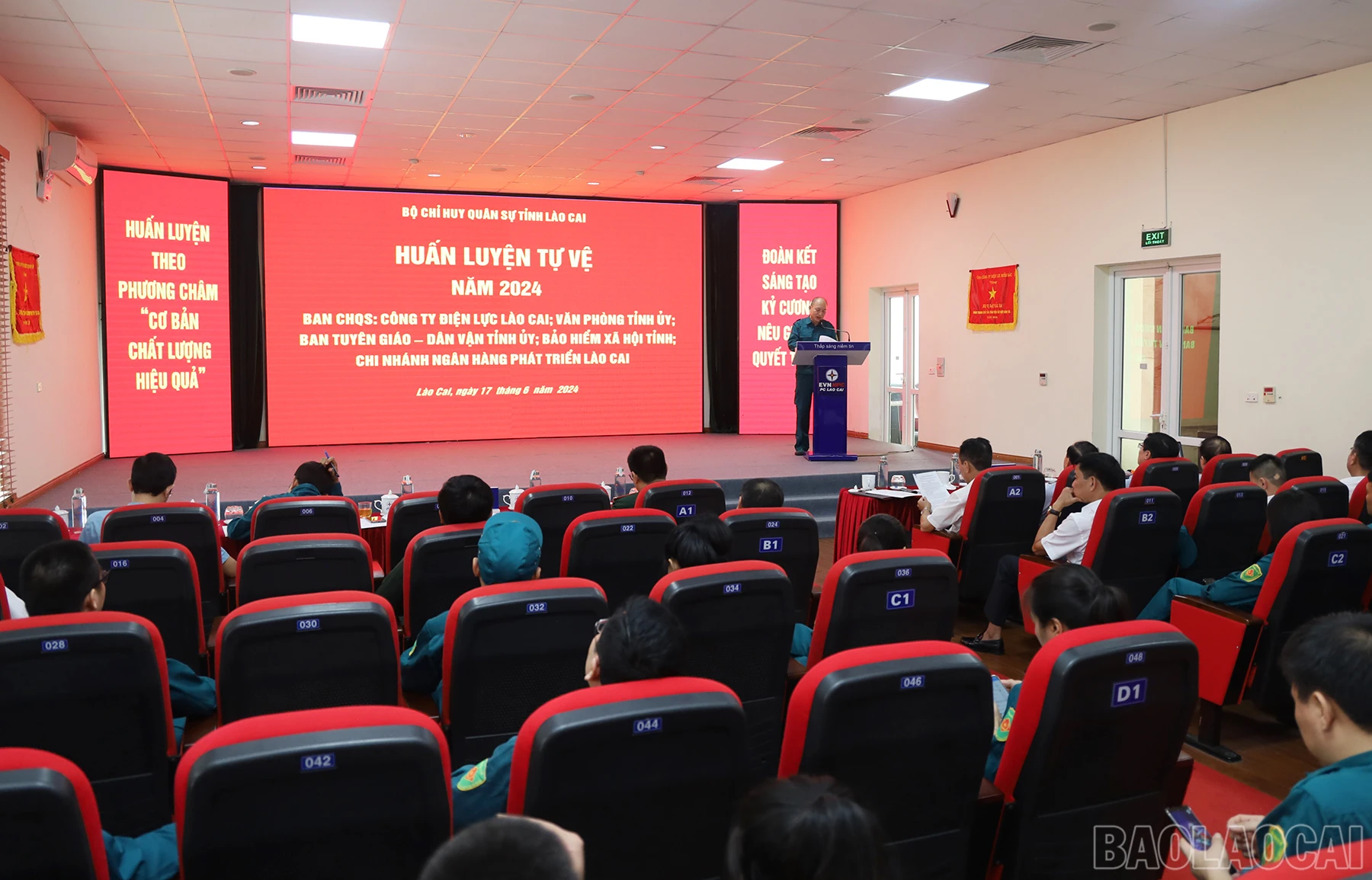 baolaocai_hl (1).JPG