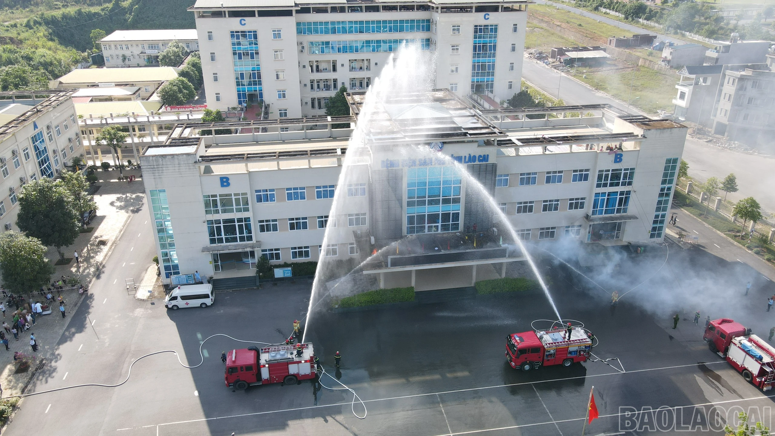 baolaocai_dientap (10).jpg