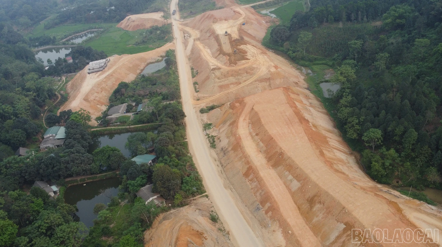 baolaocai_CT (10).JPG