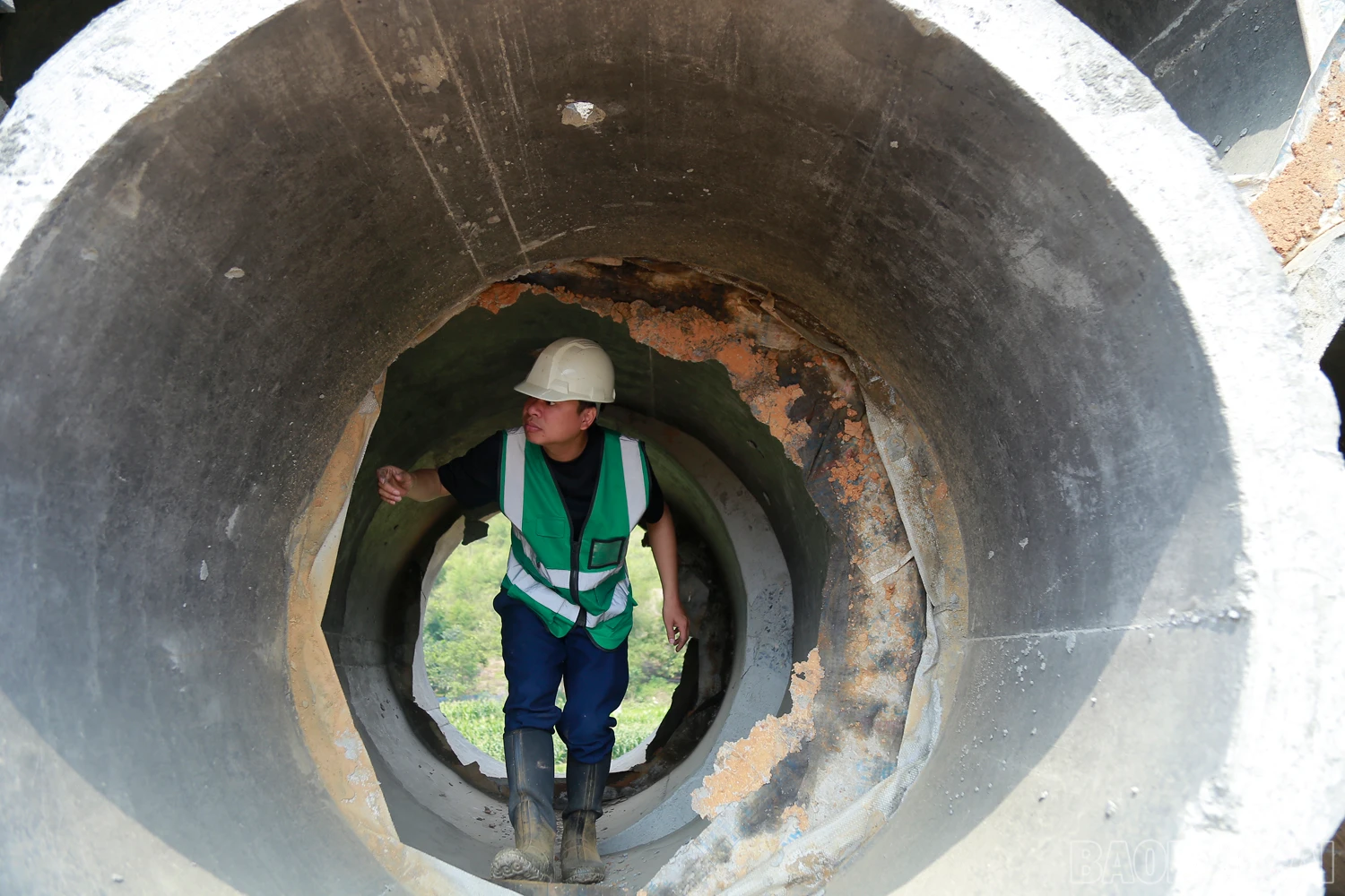 baolaocai_CT (7).JPG