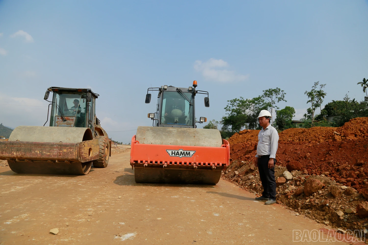 baolaocai_CT (5).JPG