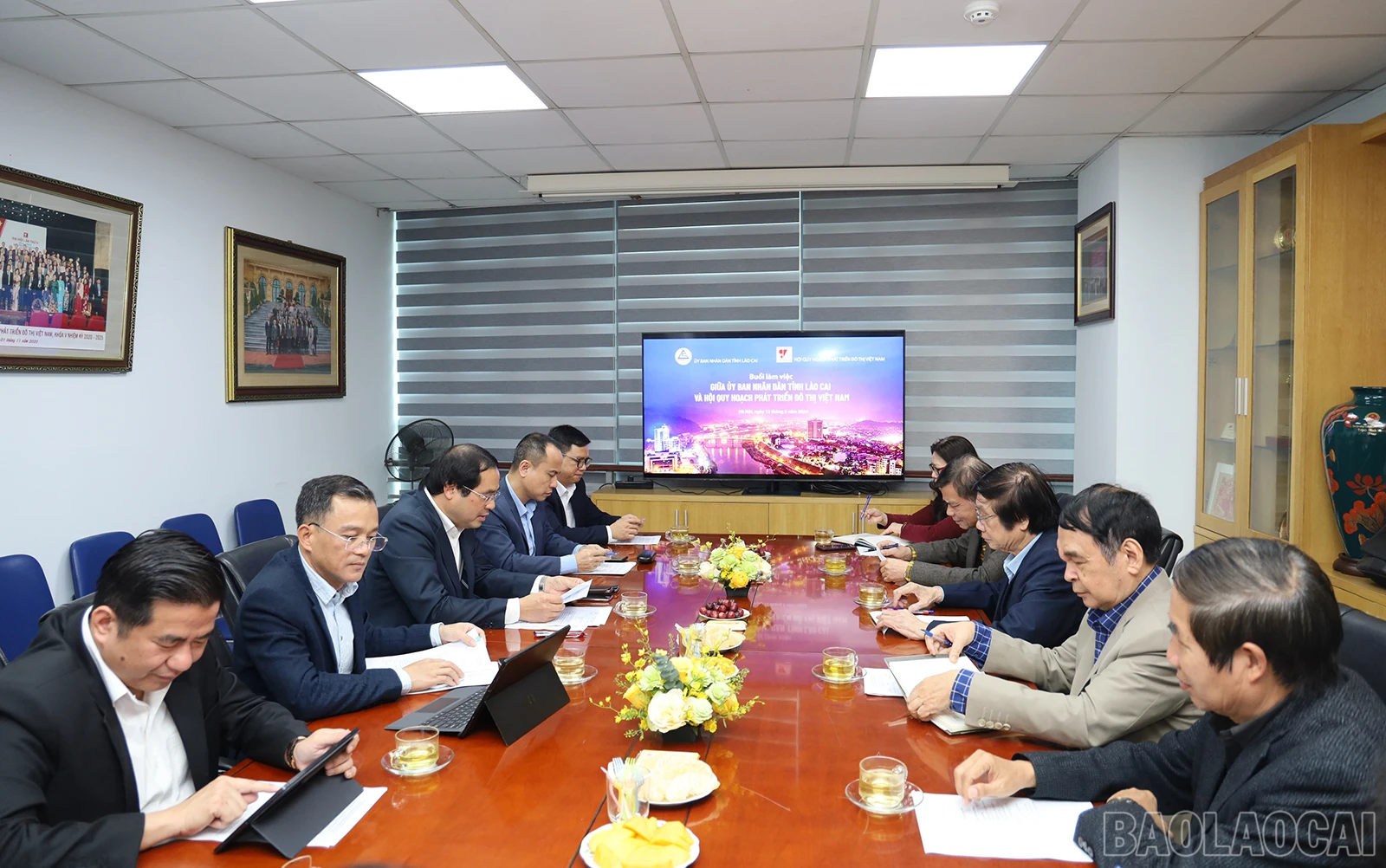 baolaocai_qh (1).JPG