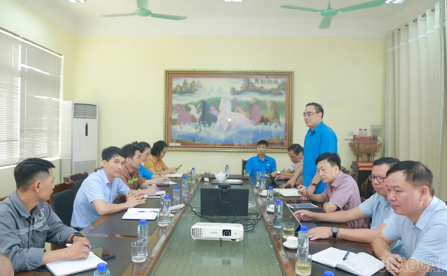 baolaocai_ld (1).JPG