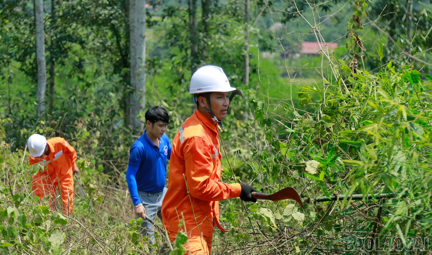 baolaocai_dienluc (6).JPG