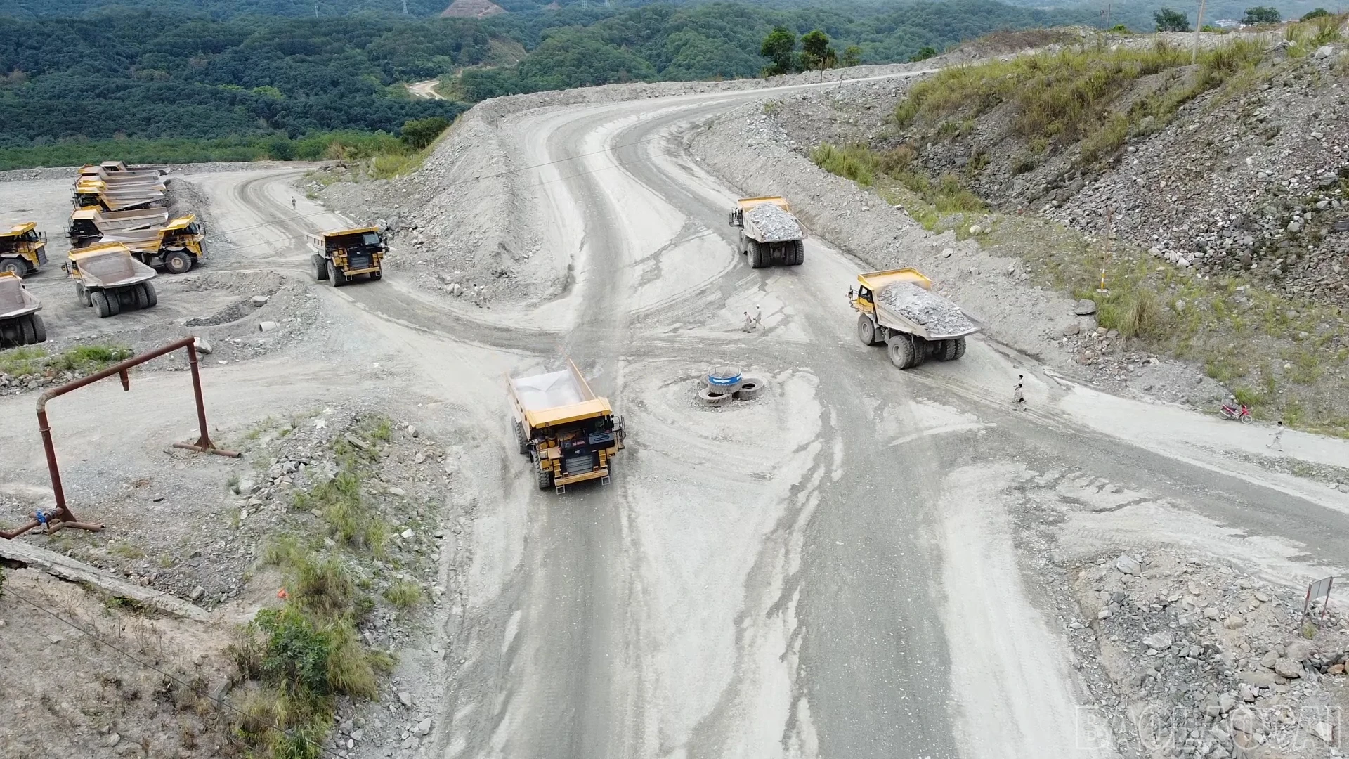 Baolaocai_sx (4).jpg