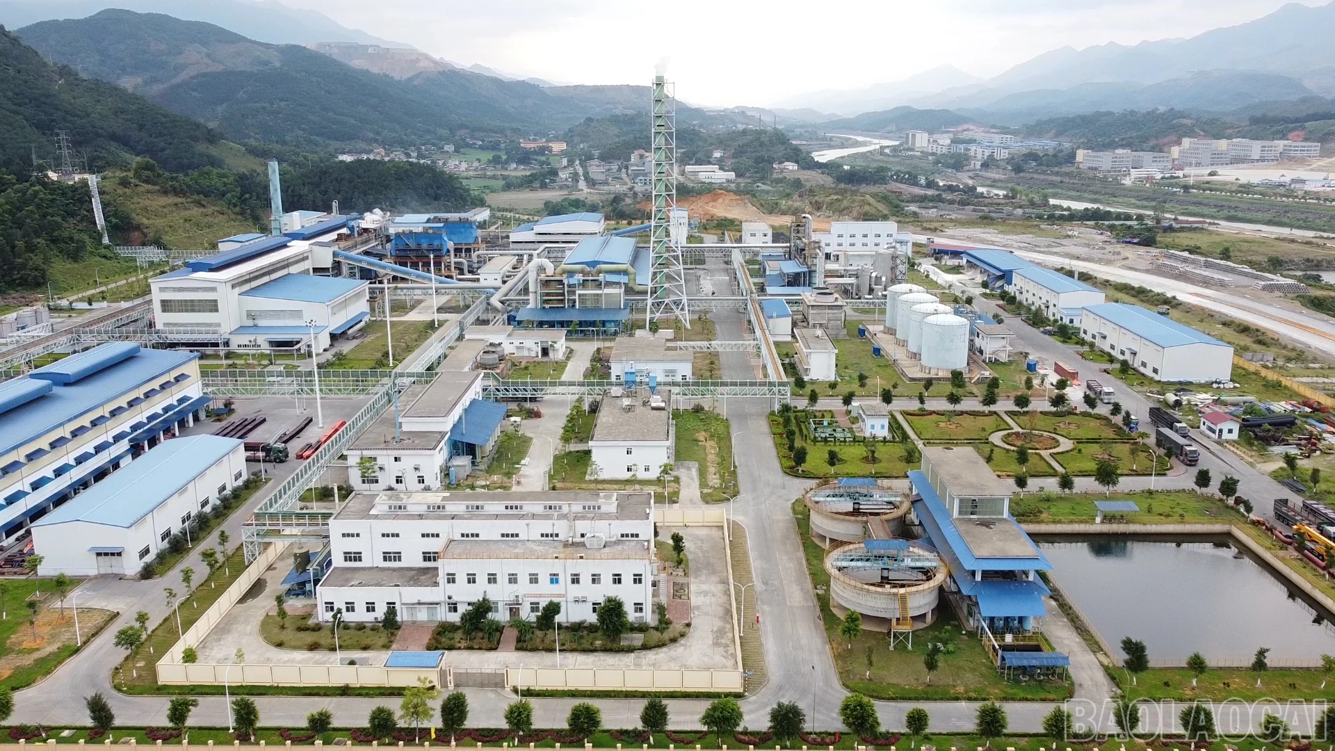 Baolaocai_sx (1).jpg