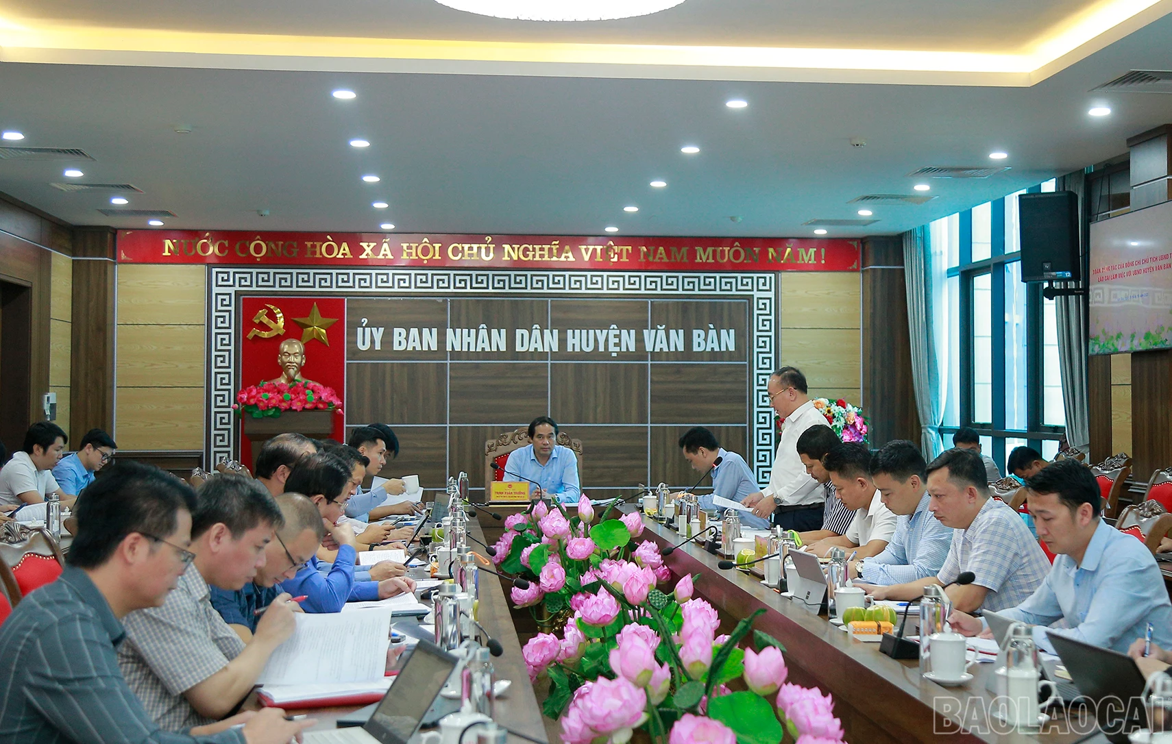 baolaocai_vb (3).JPG