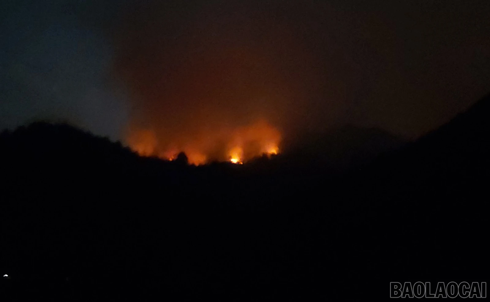 baolaocai_chaydem 2.jpg