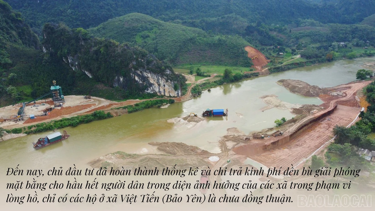 baolaocai_tdtanlinh (5).jpg