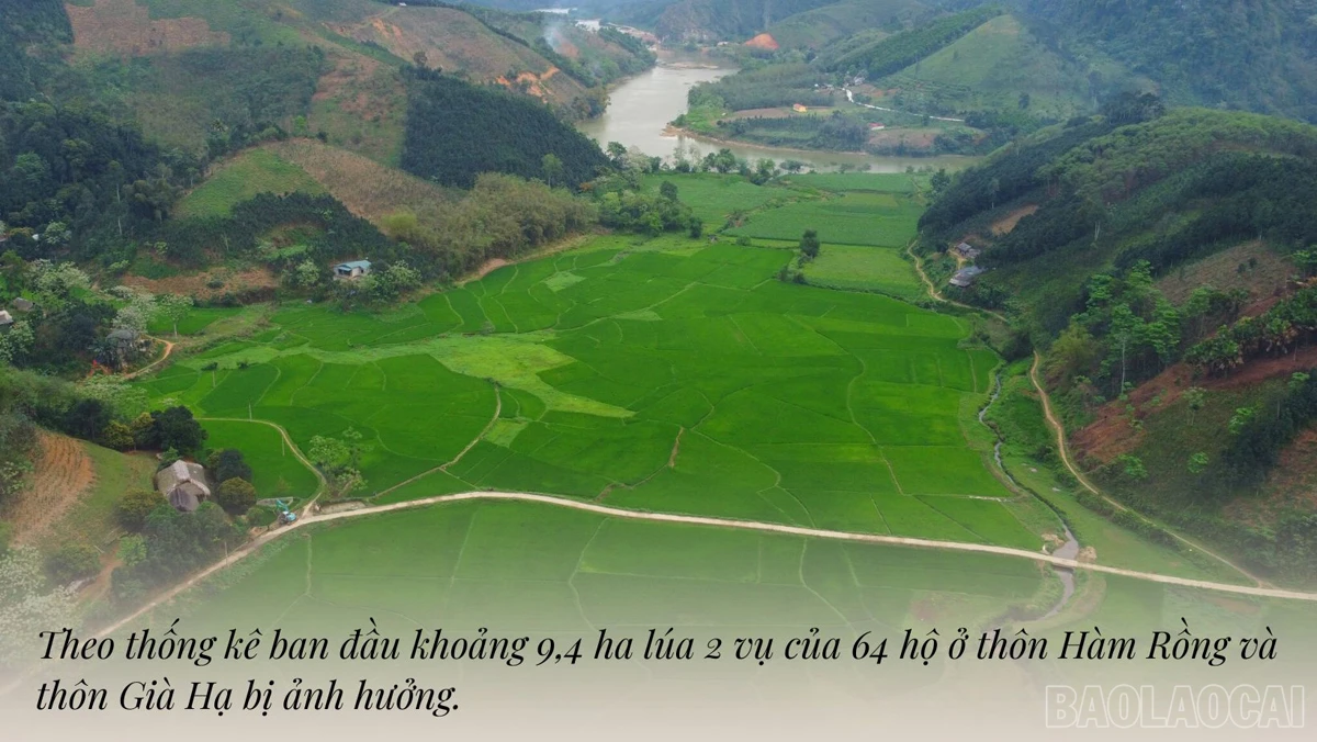 baolaocai_tdtanlinh (3).jpg