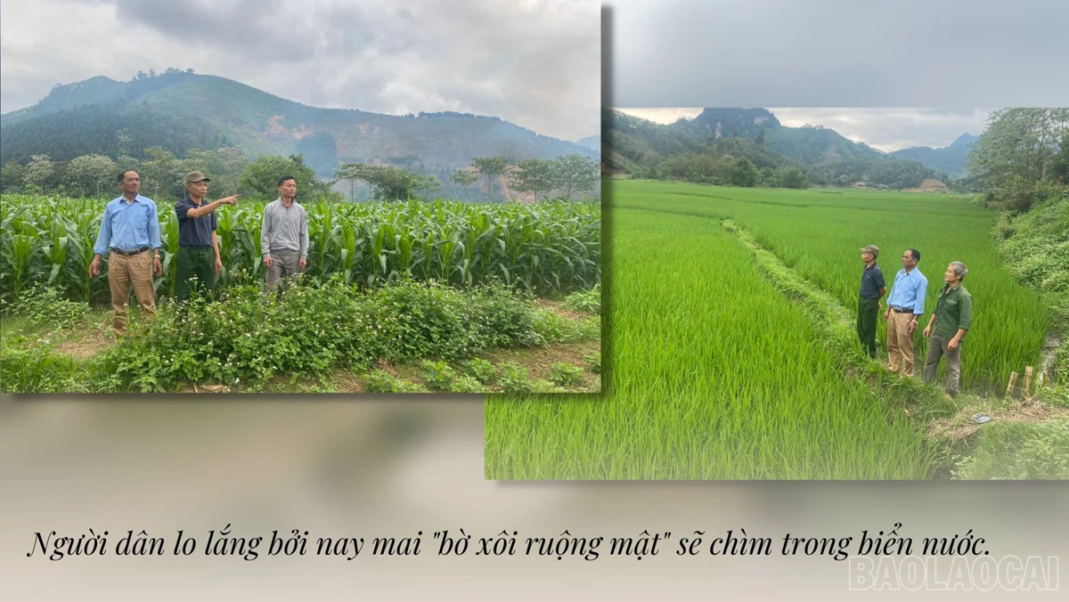 baolaocai_tdtanlinh (2).jpg