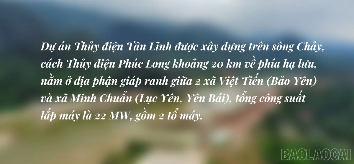 baolaocai_tdtanlinh (4).jpg