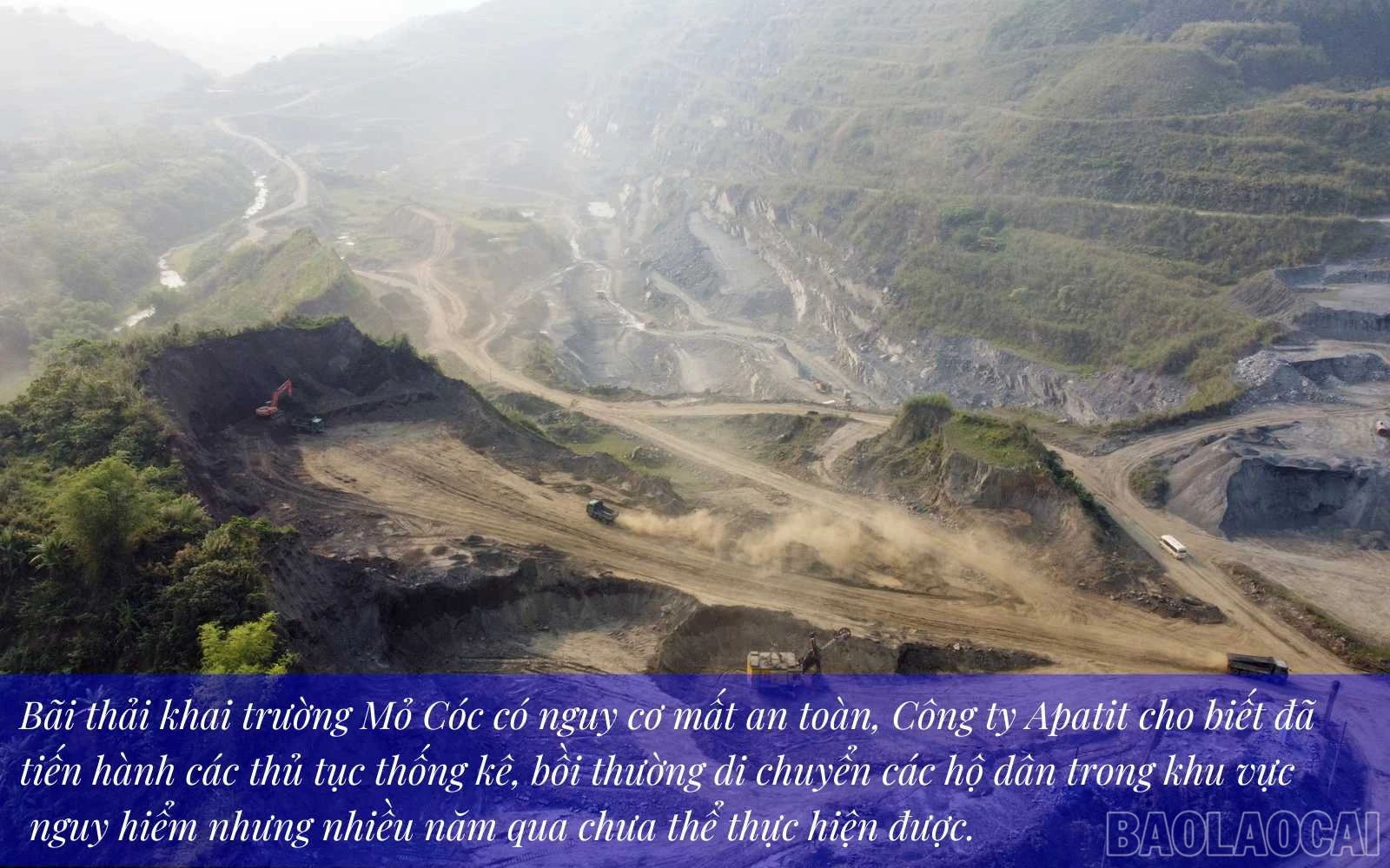 baolaocai_ap (2).jpg