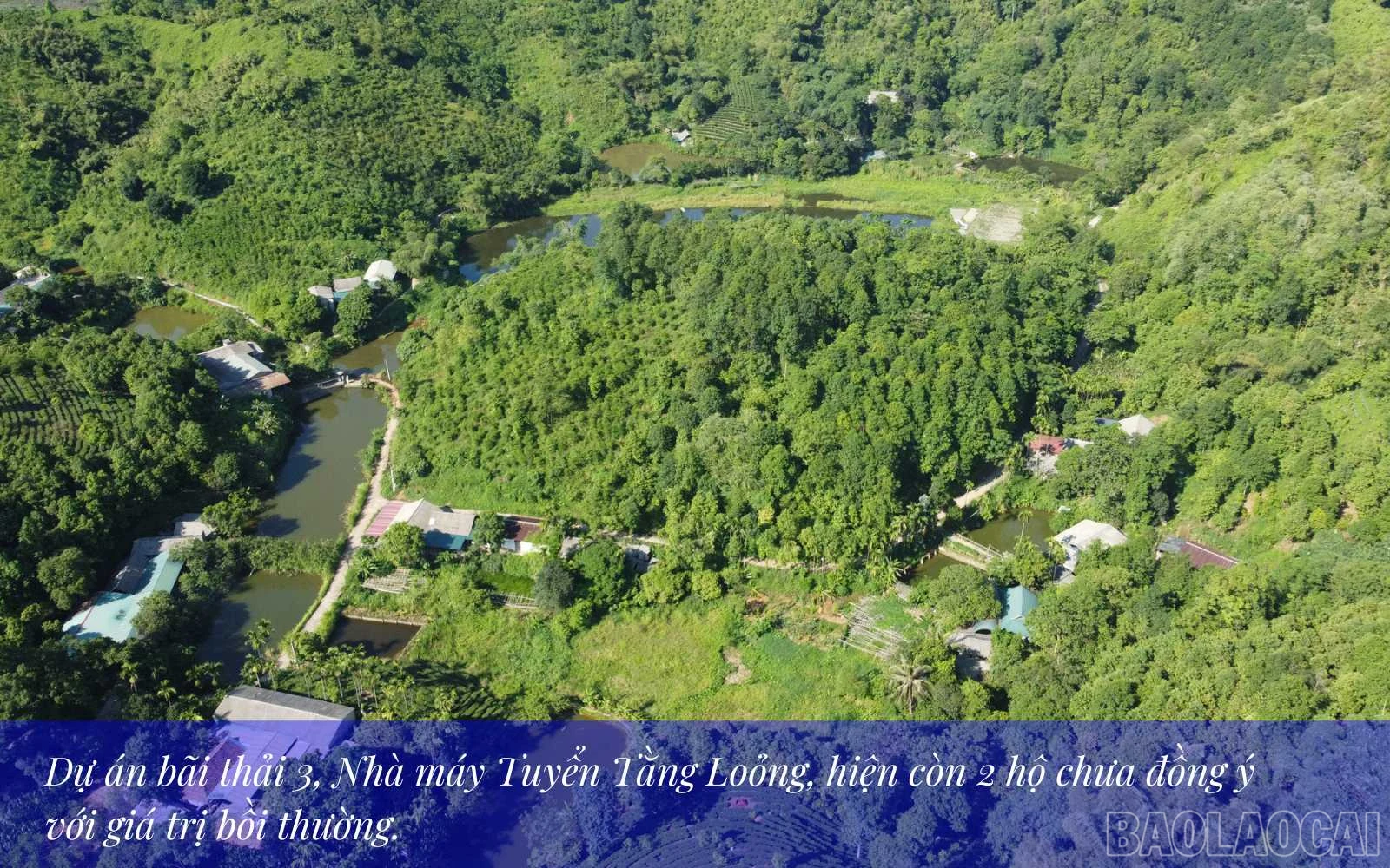 baolaocai_ap (3).jpg