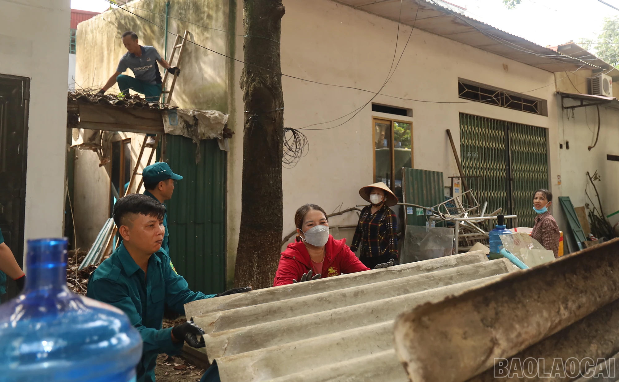 baolaocai_td (2).JPG