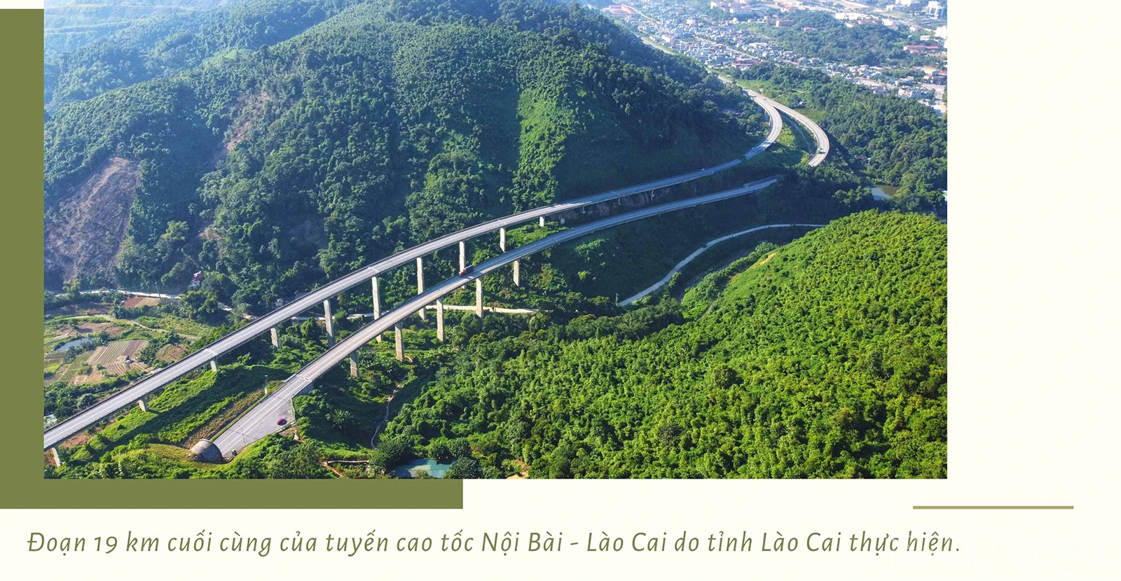 baolaocai_ct (4).jpg